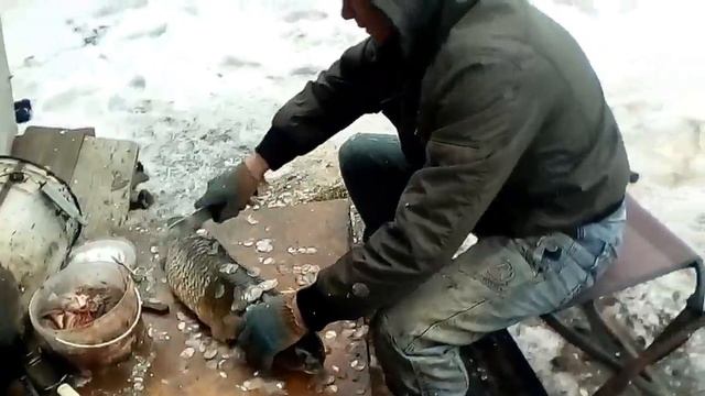 Река Пышма краев Сергей выловил 5кг рыбалка удалась смотреть онлайн