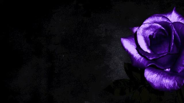 Sad Violin-"The Last Rose" смотреть онлайн