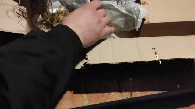 Отзыв Агромаркет. Очередная распаковка посылки. Клубника, виноград, луковичные смотреть онлайн