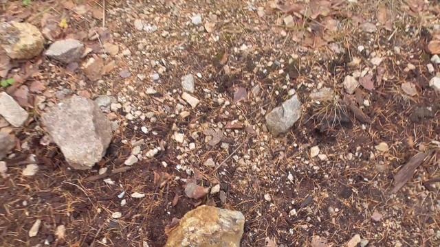 На Соболе 4х4 за САМОЦВЕТАМИ! 44 километра грязи! Адуйские Копи! Горный хрусталь!