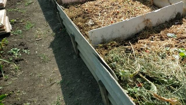 Ньюансы при разведении червей для рыбалки. Натянул затеняющую сетку смотреть онлайн