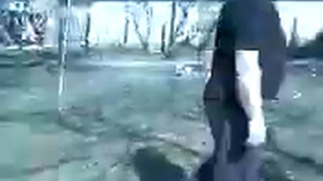 Питбуль нюта смотреть онлайн