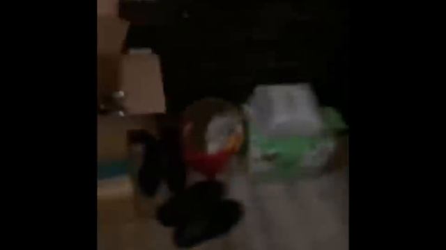 Fnaf Freddy music box prank video смотреть онлайн