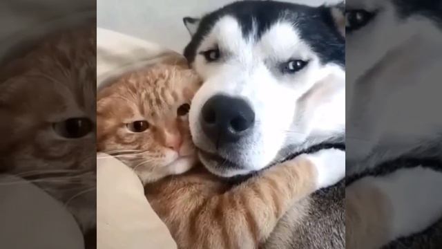 Обнимашки осенние смотреть онлайн