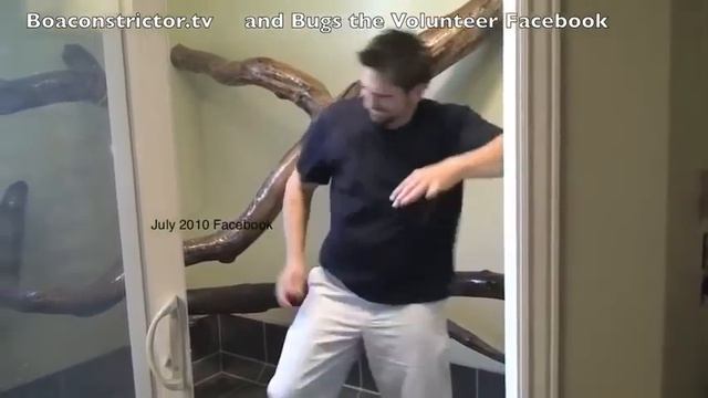 The "Bugs" Performing an EPIC Boa Dance... смотреть онлайн