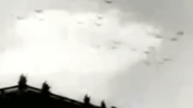 French Bird - French Bird смотреть онлайн