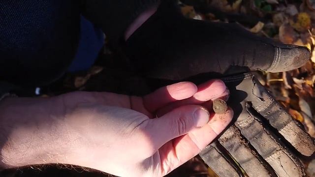 Золотой коп по старине с металлоискателем АКА Беркут-5! смотреть онлайн