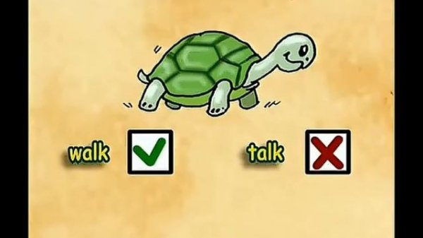 Spotlight 3 FURRY FRIENDS!