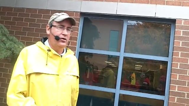 Cranberry Cotoneaster (Cotoneaster apiculatus) смотреть онлайн