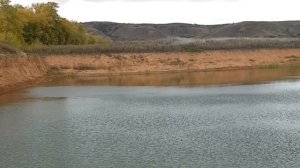 Карьер в Похвистневском районе Самарской области