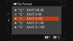 Sony A6700 — лучшая кроп-камера?