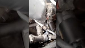 2001 (2001-2007) Ford Escape, Mazda Tribute, Mercury Mariner V6 3.0L Starter Motor Replacement