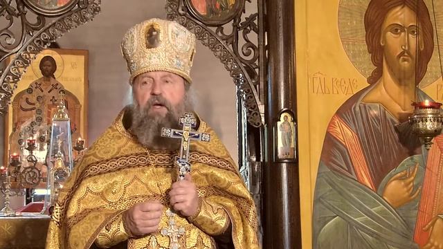 ДЕНЬ ВСЕХ СВЯТЫХ, В ЗЕМЛЕ РУССКОЙ ПРОСИЯВШИХ.18.06.17 смотреть онлайн