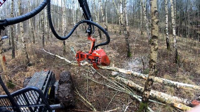 Alstor 840 Pro Combi Tapio 160 Harvesting Birch Trees Part 2 смотреть онлайн