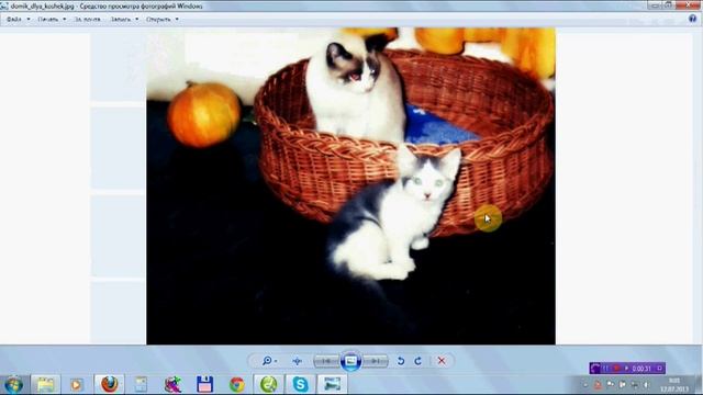 Домик Для Кошек - плетение из лозы (ивы) смотреть онлайн