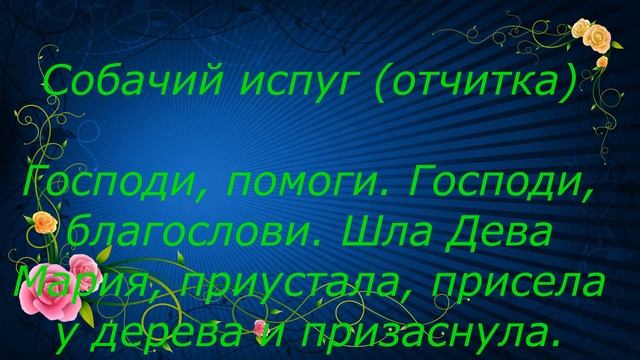 СНЯТЬ ПОРЧУ, СГЛАЗ, ПРОКЛЯТЬЕ. КАК ИЗБАВИТЬСЯ. ЧАСТЬ 10 смотреть онлайн