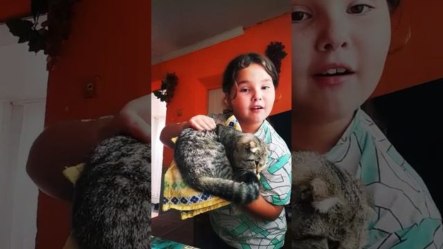 кошка на меня обиделась то, что я её не пустила на кровать, и она пошла в хлебницу. ??? смотреть онлайн