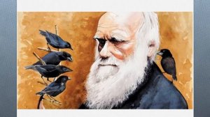 Положение человека в системе животного мира