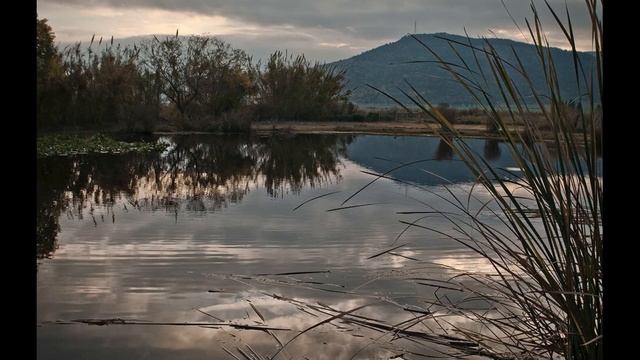 Озёра Архангельского края смотреть онлайн