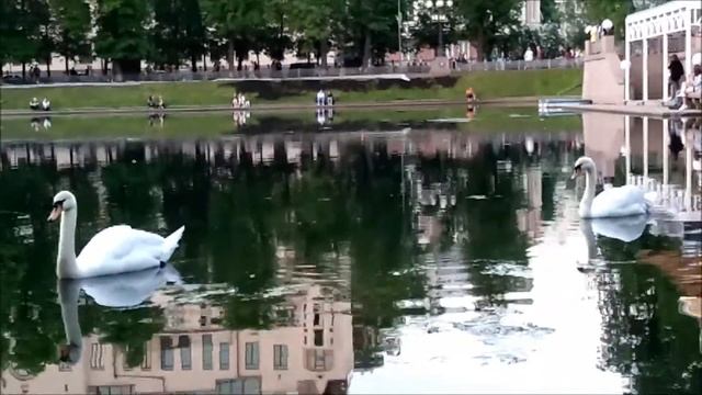 Поездка в Москву 15-18 мая 2018 смотреть онлайн