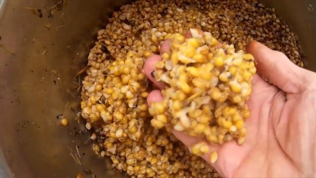 Утки расклев Почему смотреть онлайн