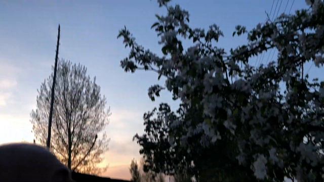 АСТРАХАНЬ 1 смотреть онлайн