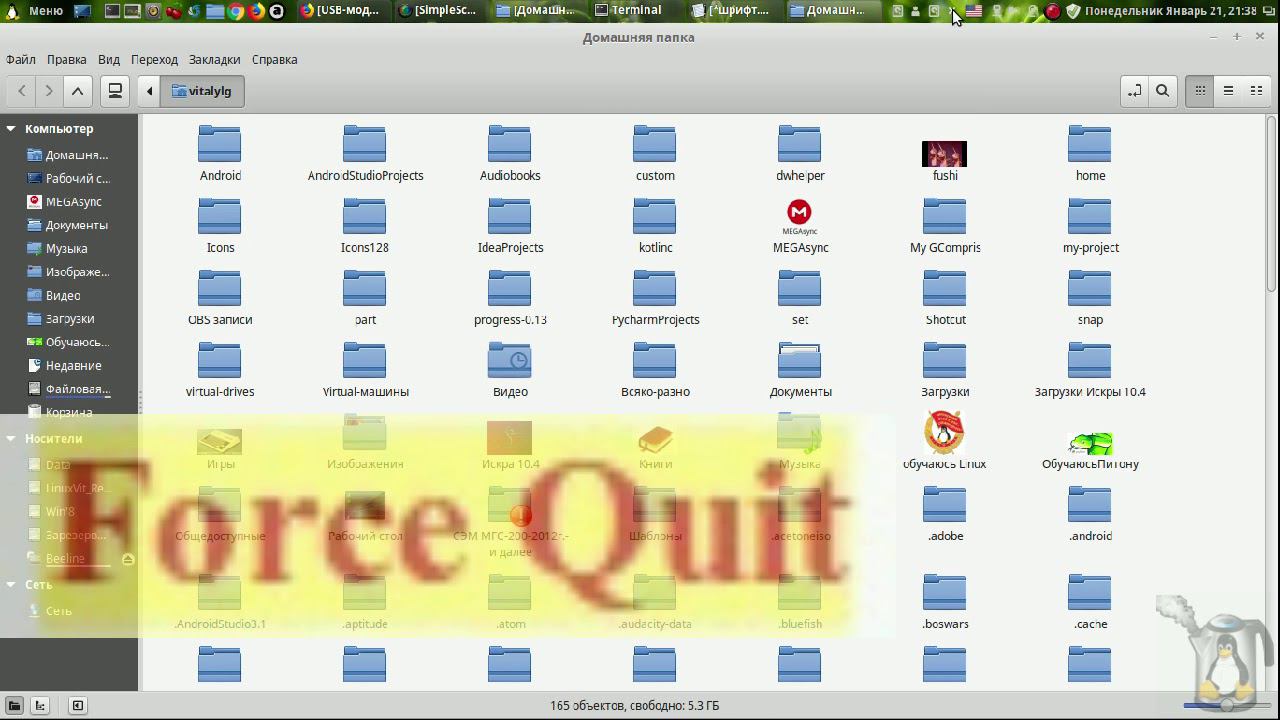Linux для начинающих_Делаем Linux Mint удобнее смотреть онлайн