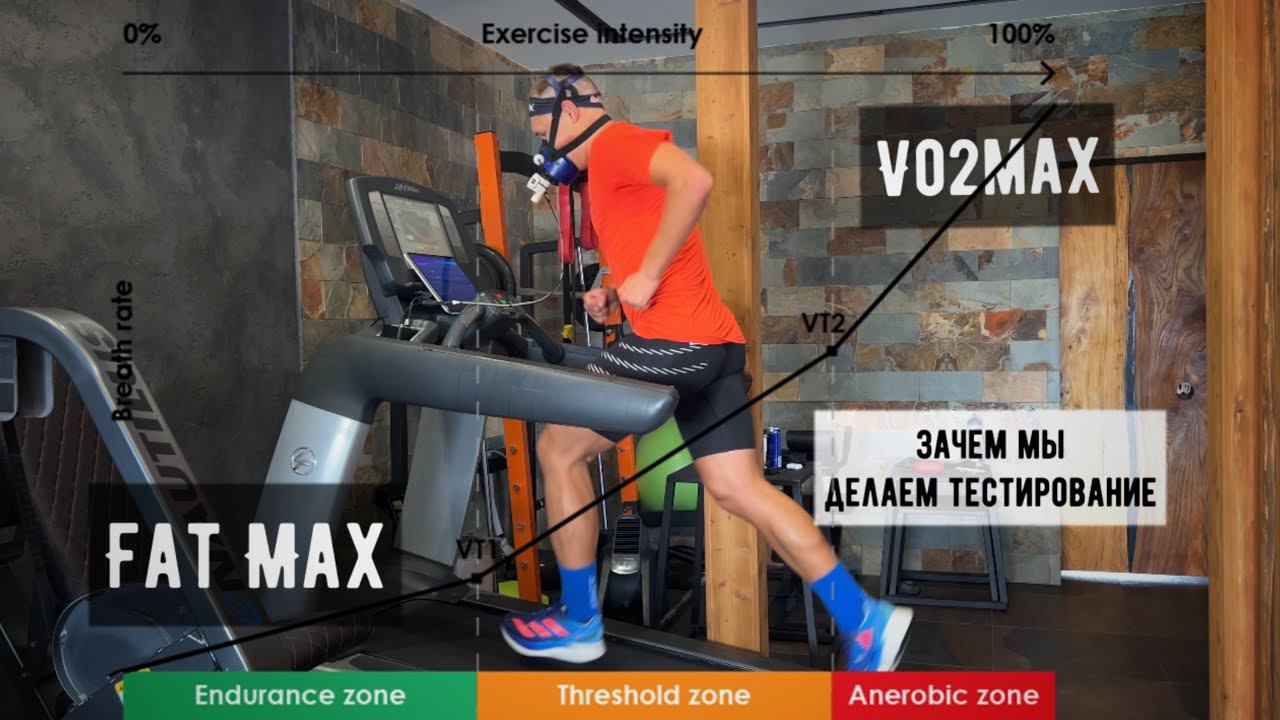 Дмитрий Митяев - VO2max, FatMax. Зачем и как мы делаем тестирование. смотреть онлайн