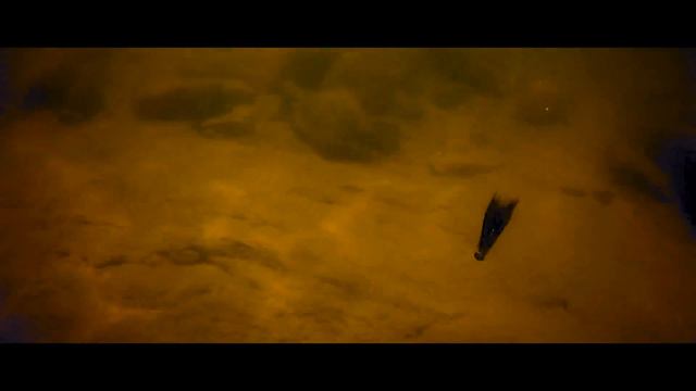 INCREDIBLE STRIKES with Castable Fishing Camera! смотреть онлайн