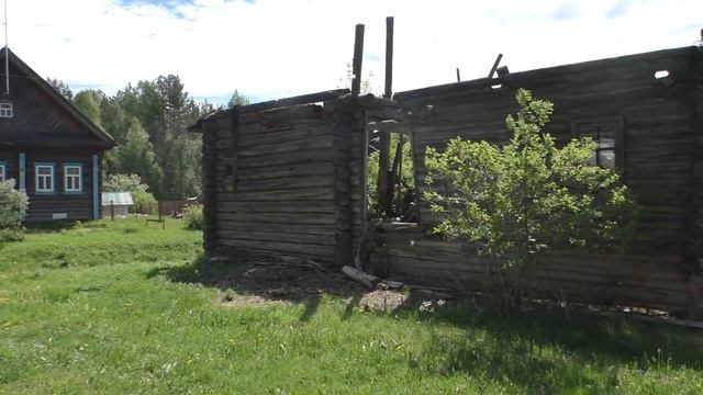 Деревня из которой не хочется уезжать. Гигантское дерево. Продают дом в деревне за миллион рублей смотреть онлайн