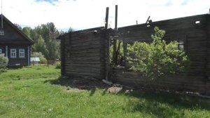 Деревня из которой не хочется уезжать. Гигантское дерево. Продают дом в деревне за миллион рублей