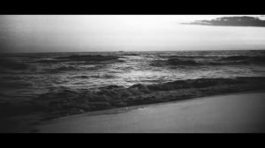 Gustavo Bravetti - Babel