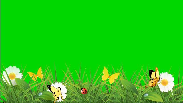 Видеофон полянка с бабочками на зеленом фоне /Videophone A Clearing With Butterflies On A Green Bac