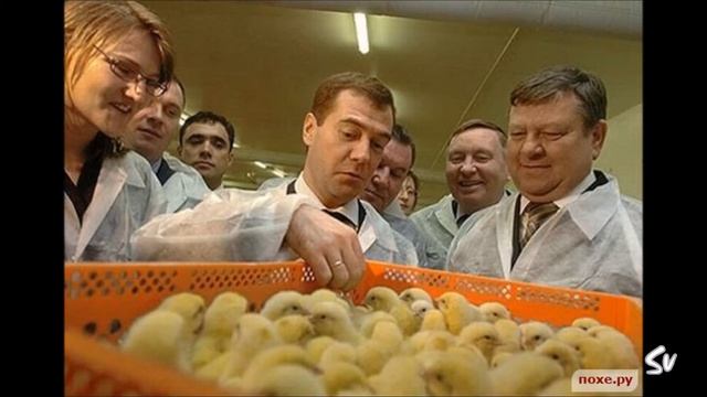Дмитрий Медведев Нелепое смотреть онлайн