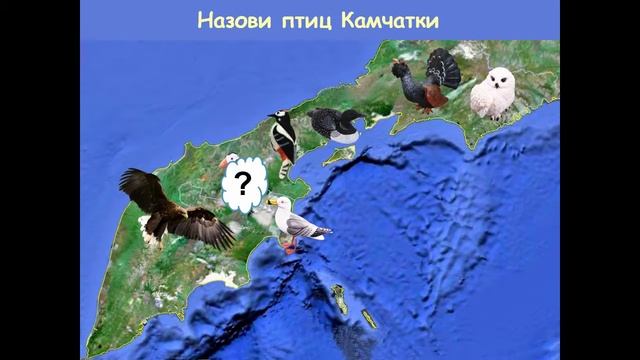 Мастер-класс: Презентация PowerPoint "Мир дикой природы Камчатки". смотреть онлайн