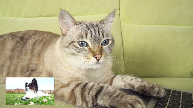 Летняя ТУСА на Даче / Сериалити от ЮКИ сборник смотреть онлайн