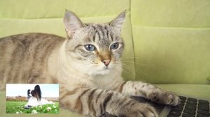 Летняя ТУСА на Даче / Сериалити от ЮКИ  сборник