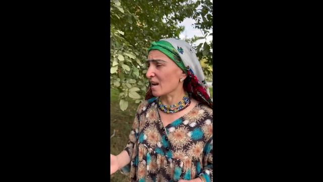 Alfiya Kampir - Qaynona Kuyov Hangomalari 1-qism