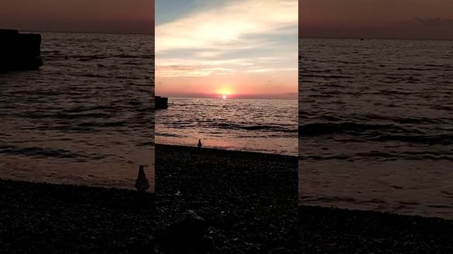 Как кричат чайки в Одессе смотреть онлайн