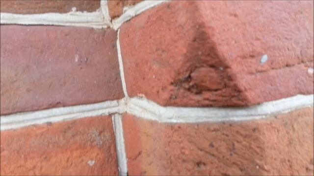 Старинные кованные ворота смотреть онлайн