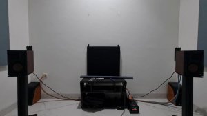 test sound swans d200