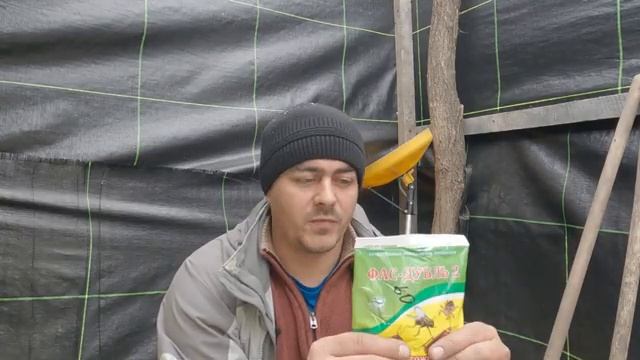 Чем бороться с муравьями на участке? Муравьи на клубнике. смотреть онлайн