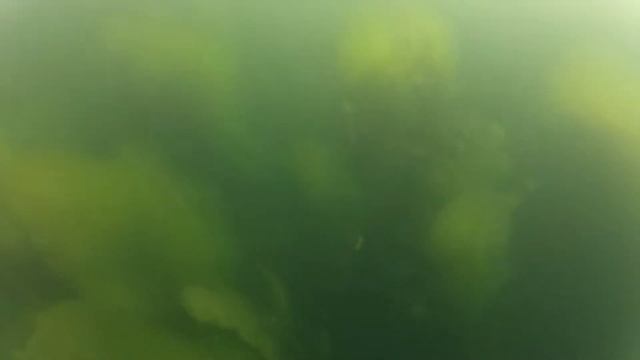 Нырок где то в Подмосковье )) смотреть онлайн