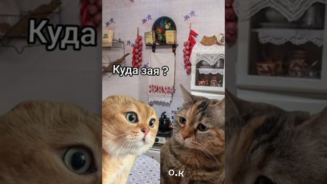 👍🥰🤣💯 смотреть онлайн