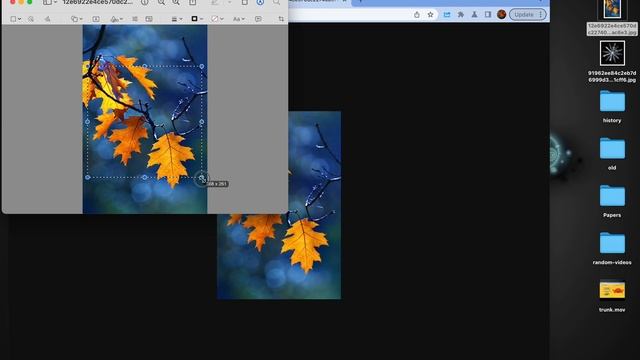 A web tool for rendering Kaleidoscopes based on PIXI.js and GLSL смотреть онлайн