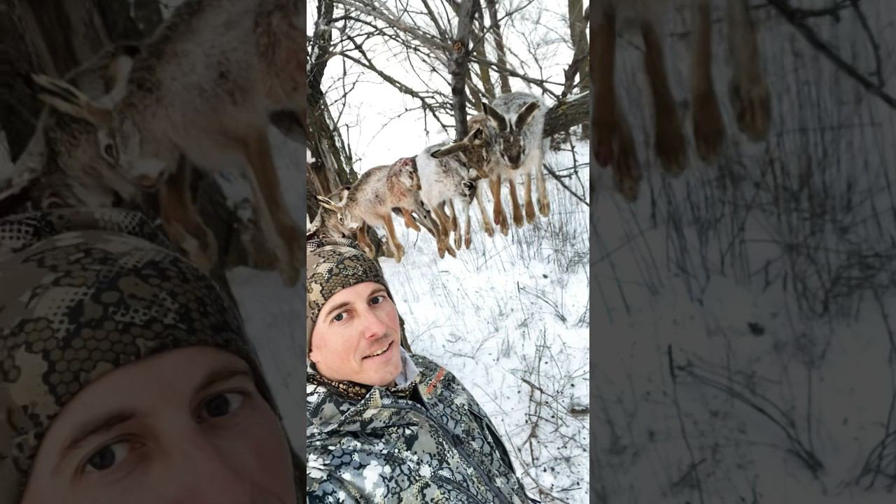 ОХОТА НА ЗАЙЦЕВ, фильм выйдет в 17:00 #охота #охотаназайца #шортс #shorts #охотавидео #maxhunter смотреть онлайн