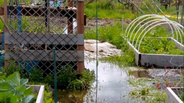 Борьба с паршой на яблонях – основные методы смотреть онлайн