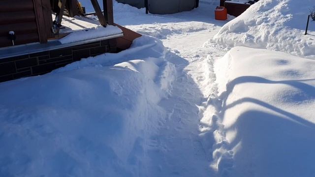 Купила в Леруа Мерлен розы зимой/Как сохранить розы до высадки в грунт смотреть онлайн