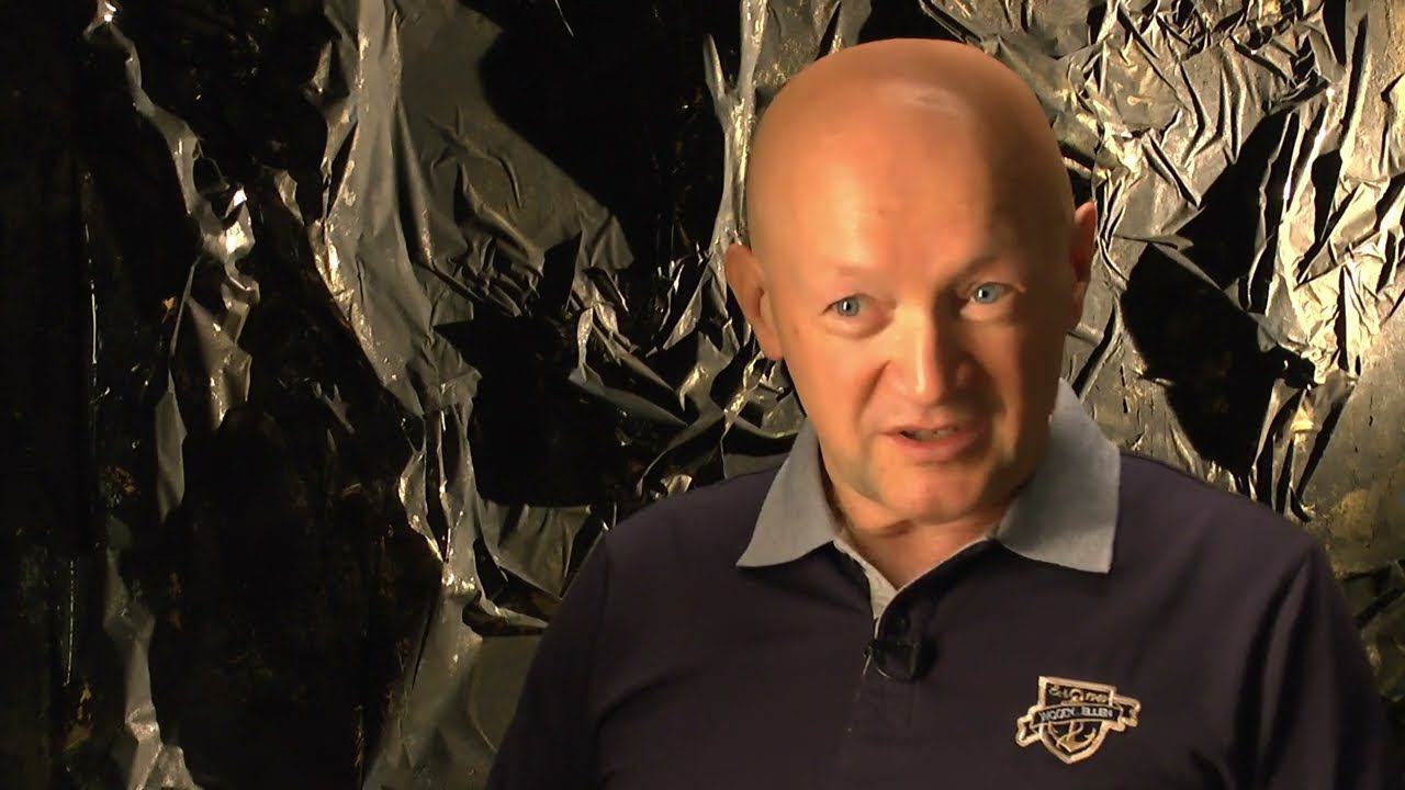 О цивилизациях и детерминизме смотреть онлайн