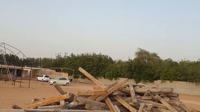 Теплица в Дубае. смотреть онлайн